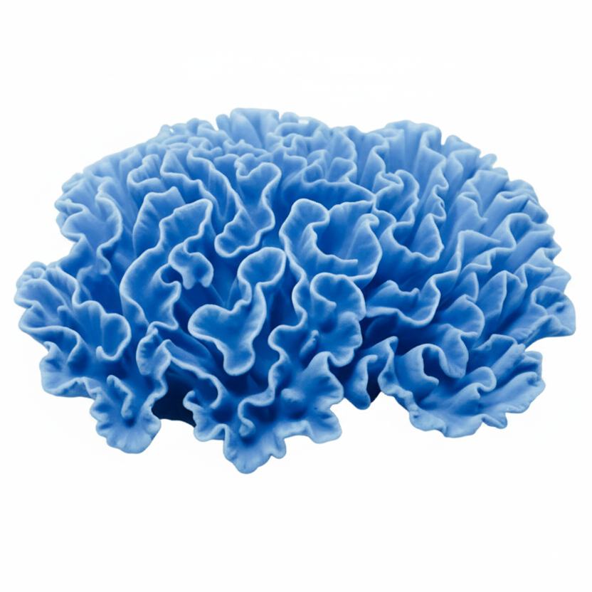 Blue coral-like structure on a white background